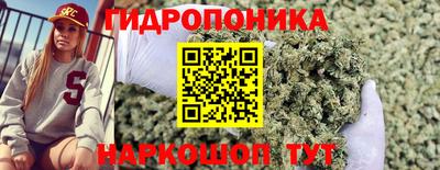 шишки Заводоуковск