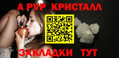 шишки Заводоуковск