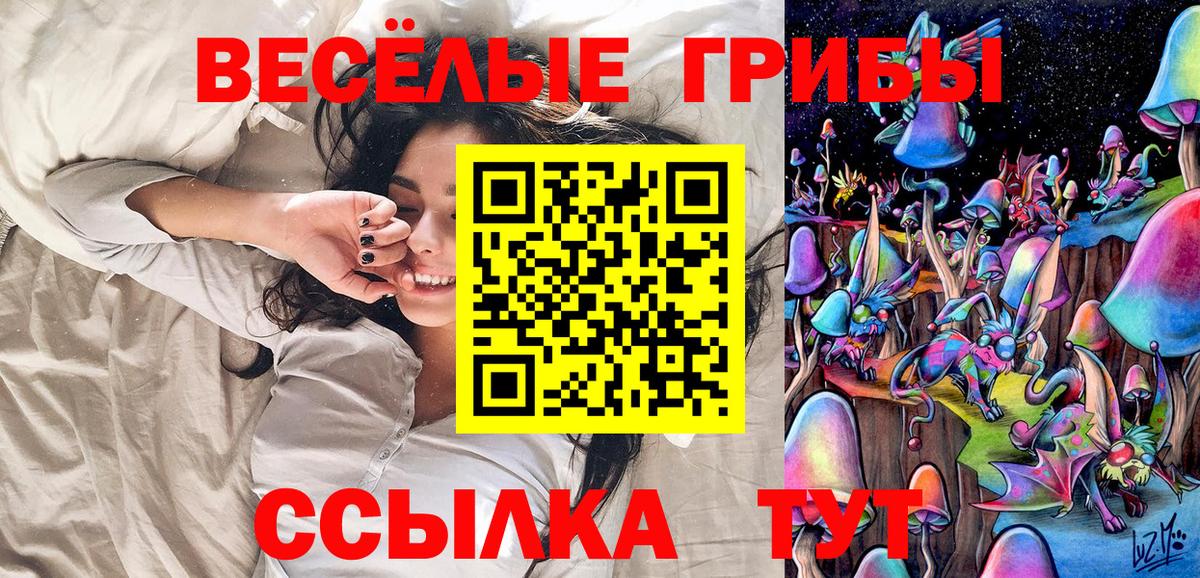 Зеленокумск  Псилоцибиновые грибы Psilocybe  Вход с VPN  Псилоцибиновые грибы прущие грибы 